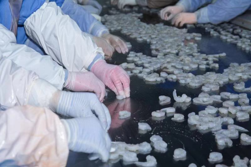 新鲜大虾仁速冻青虾仁活虾冷冻白虾仁海虾仁国产开背大虾仁