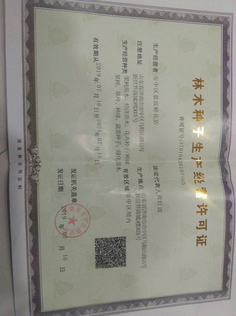 桔梗种子桔梗花籽铃铛花种子公园绿化花卉种子
