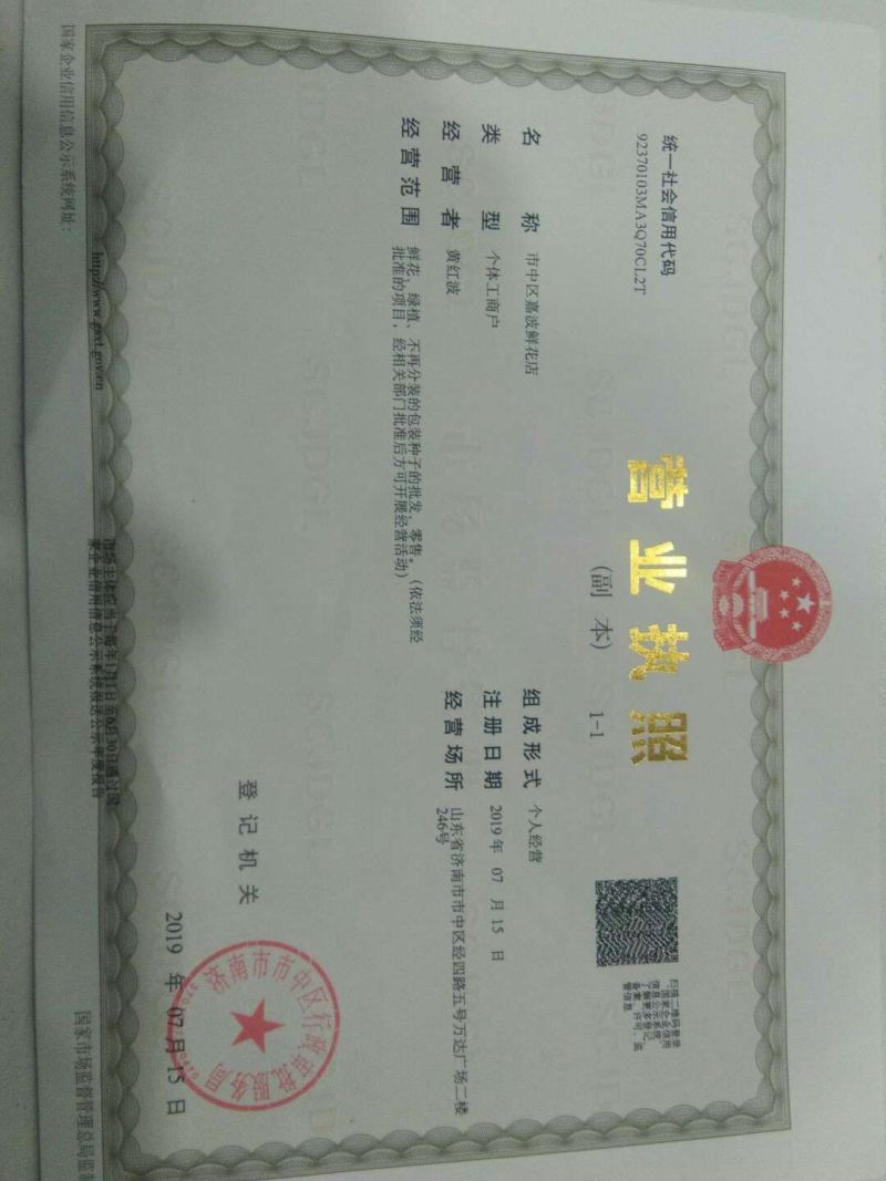 琉璃苣种子优质蜜源植物庭院盆公园绿化花卉种子