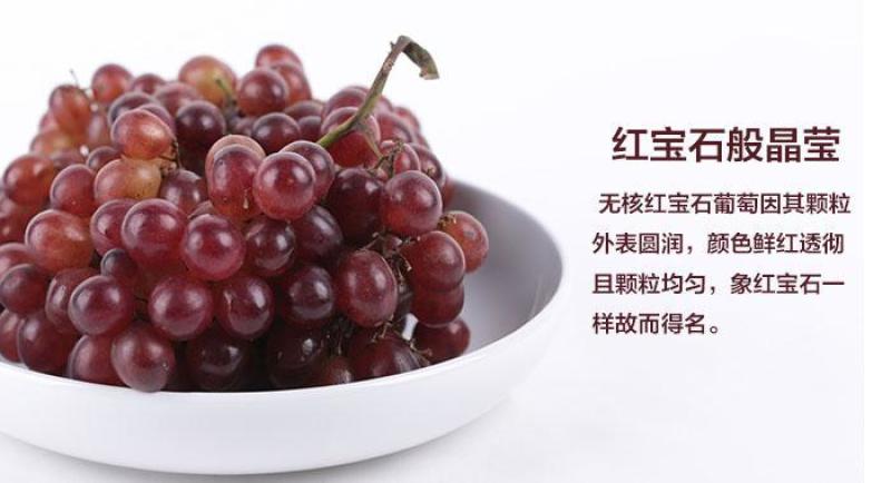 红宝石葡萄苗（晚熟，口感香甜，硬脆多汁）品种纯正基地直发