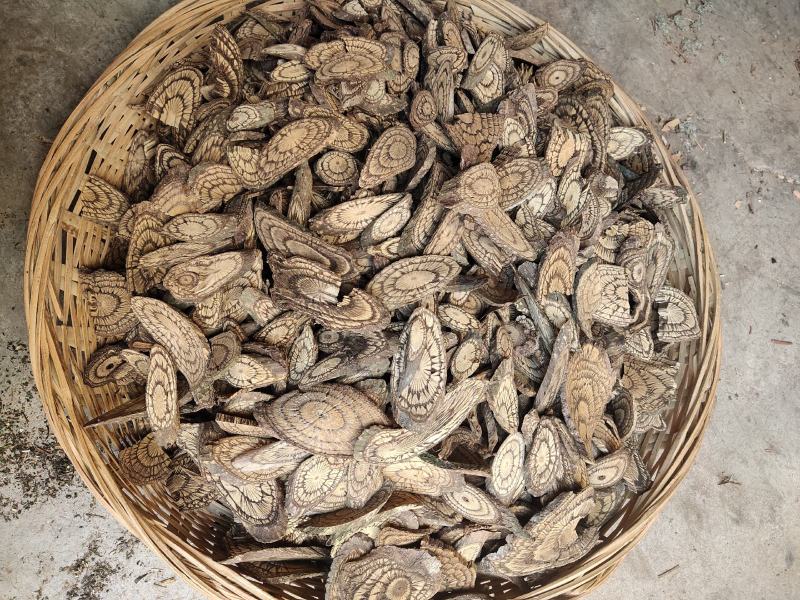 云南野生中药材麻骨风买麻藤500g包邮