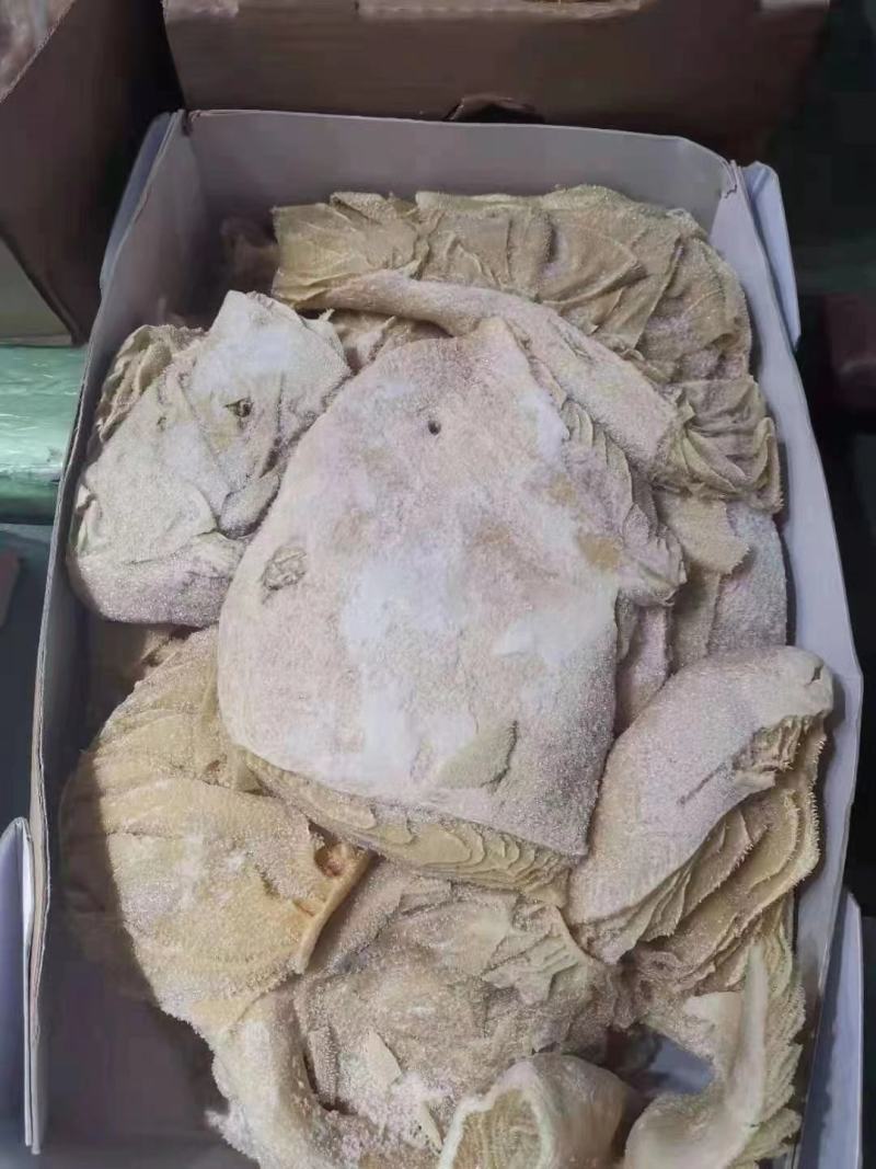 纯干牛百叶，价格合适，出成率高，一手货源
