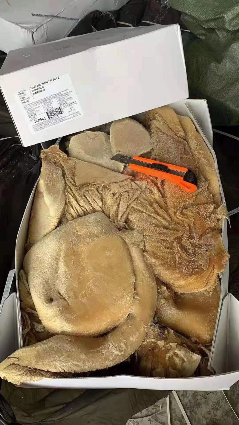 纯干牛百叶，价格合适，出成率高，一手货源