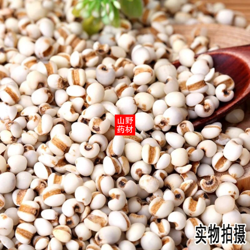 农家特产薏苡仁天然薏米薏米仁薏仁米苡仁500g
