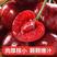 山东美早大樱桃上市销售，口感脆甜，质量好，代发全国