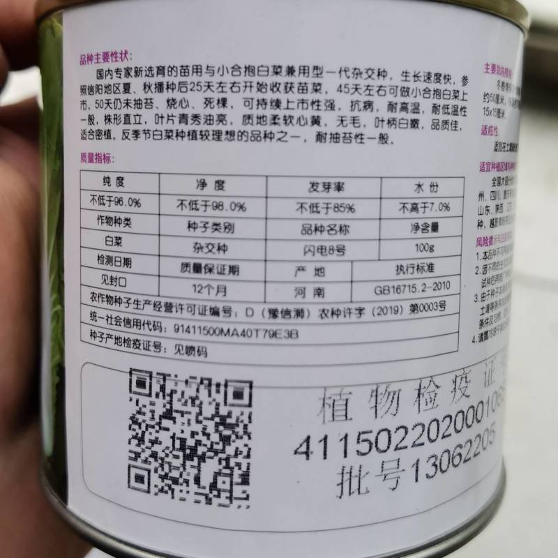 快菜种子闪电8号速生小白菜种子无毛耐湿热抗病四季播种