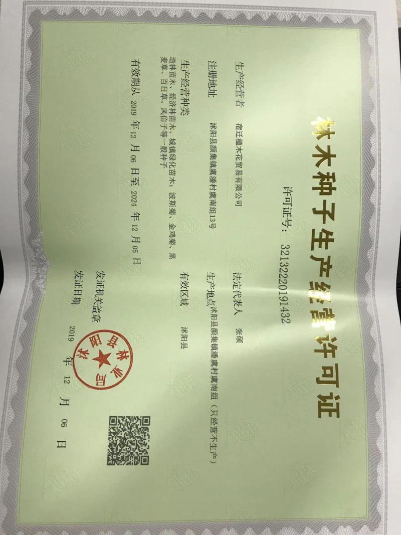 蜀葵种子