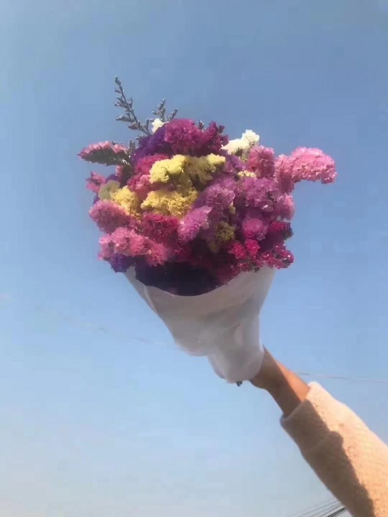 地摊热卖云南18怪勿忘我鲜花称斤卖
