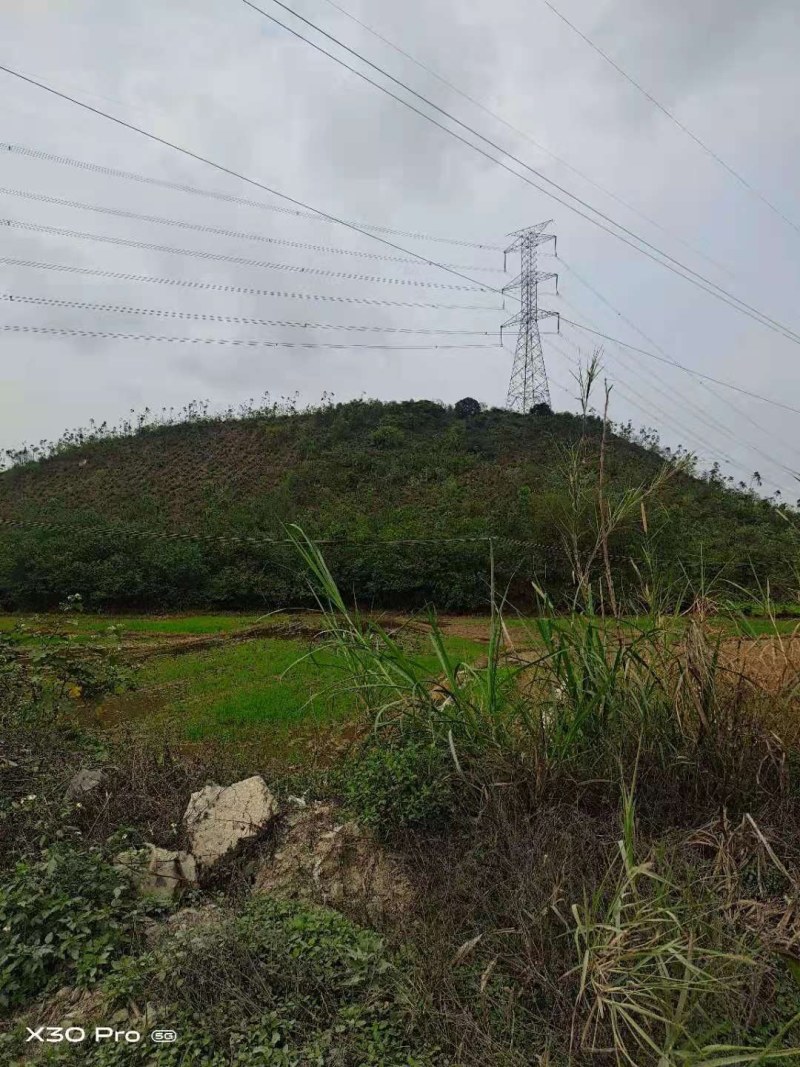 三面环水山岗地通电方便