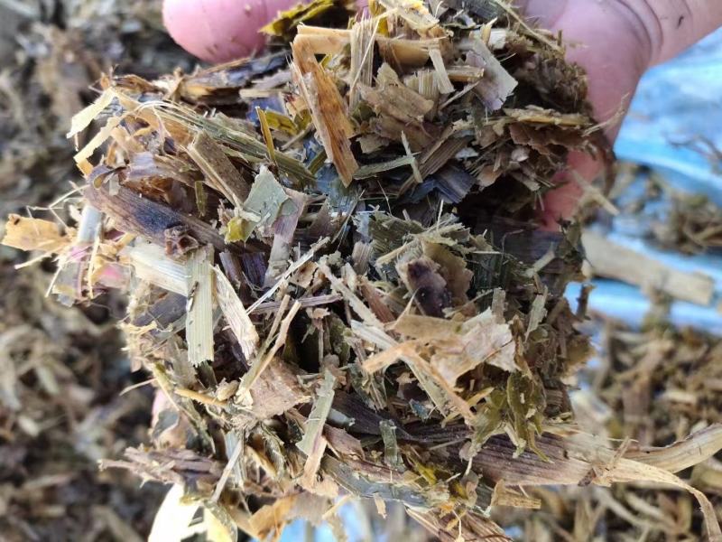 青储草青储玉米杆牛羊驴马饲料草厂家直销