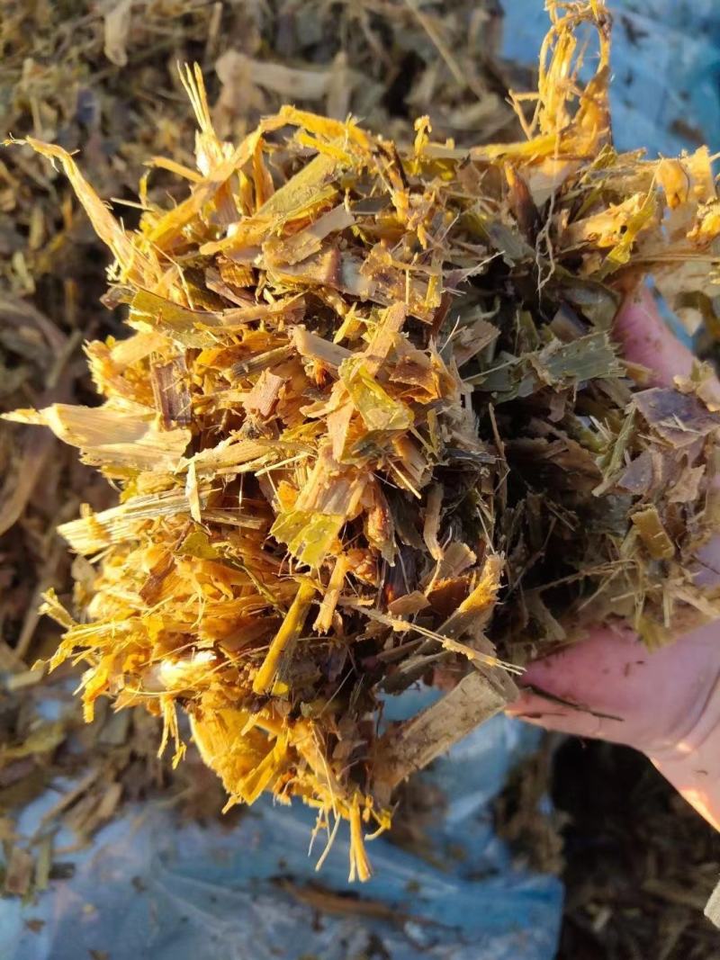 青储草青储玉米杆牛羊驴马饲料草厂家直销