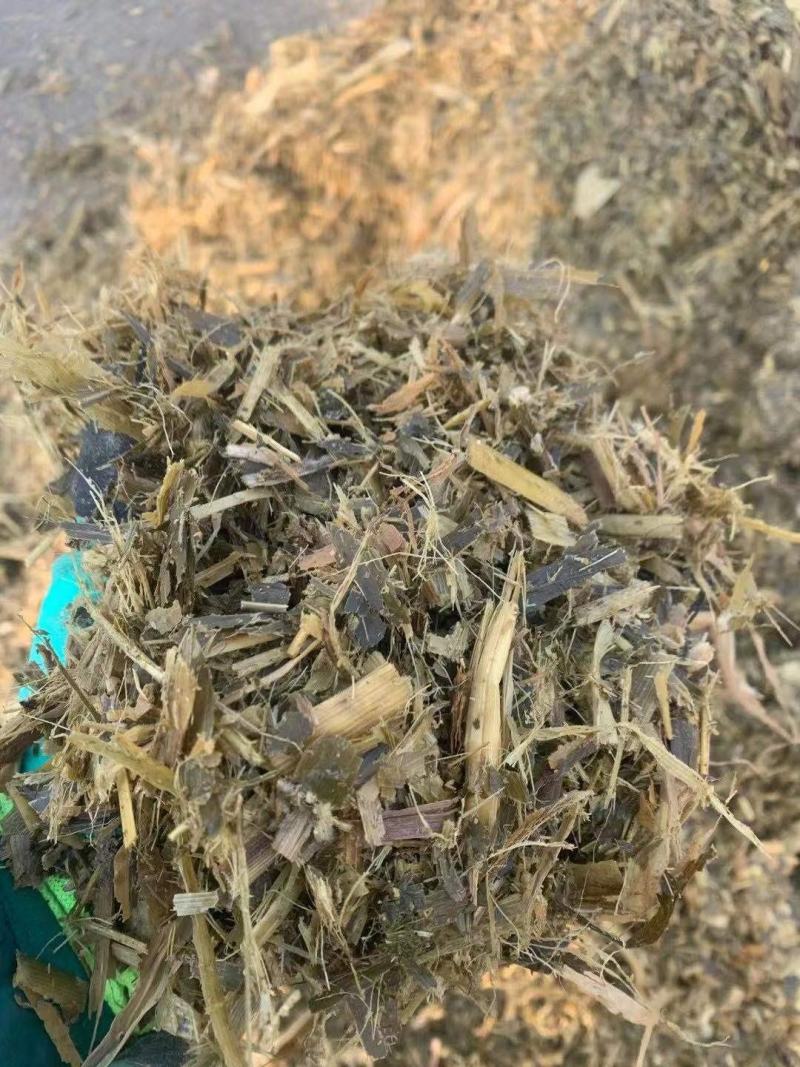 青储草青储玉米杆牛羊驴马饲料草厂家直销