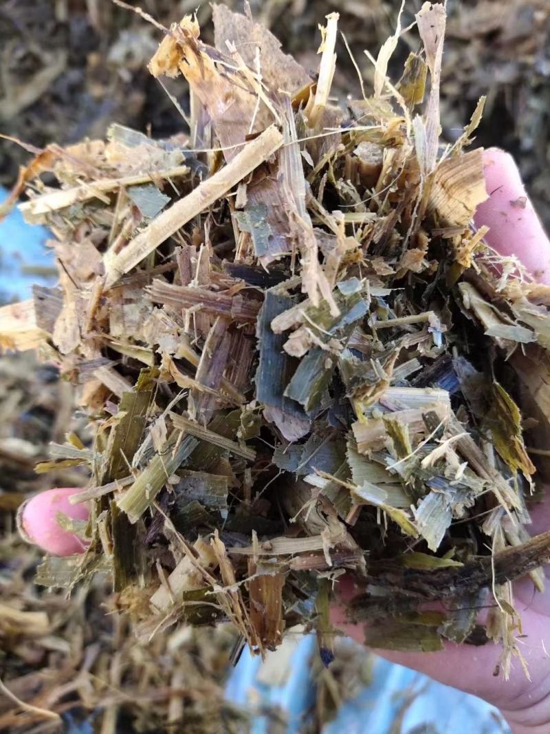 青储草青储玉米杆牛羊驴马饲料草厂家直销
