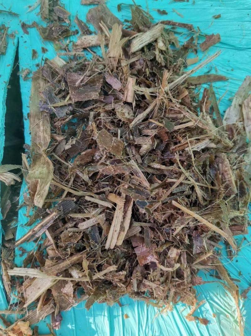 青储草青储玉米杆牛羊驴马饲料草厂家直销