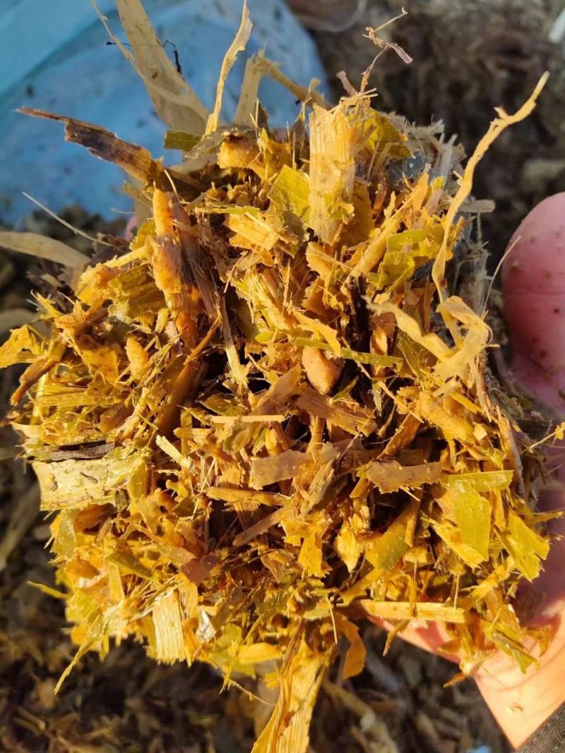青储草青储玉米杆牛羊驴马饲料草厂家直销