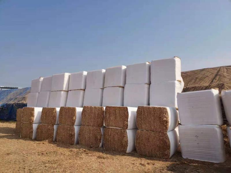 精品柔丝除尘小套袋干度14以内定制各种牛羊草料