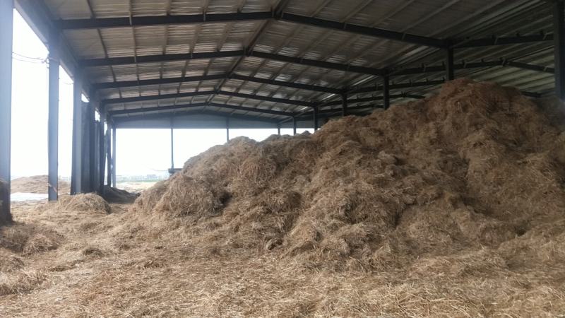 精品柔丝除尘小套袋干度14以内定制各种牛羊草料