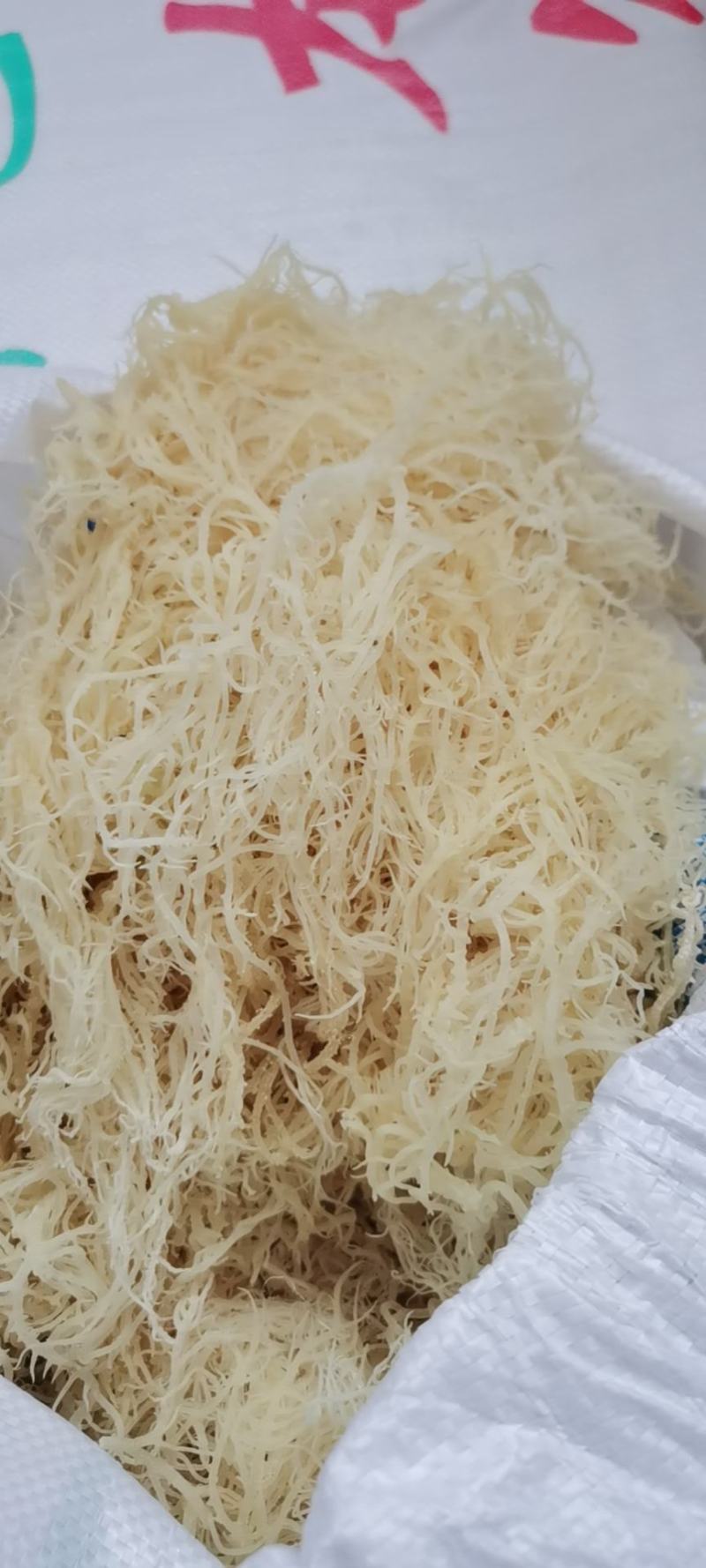 山东枣庄滕州高质量龙须菜干菜17斤潮菜55斤中条细条常备