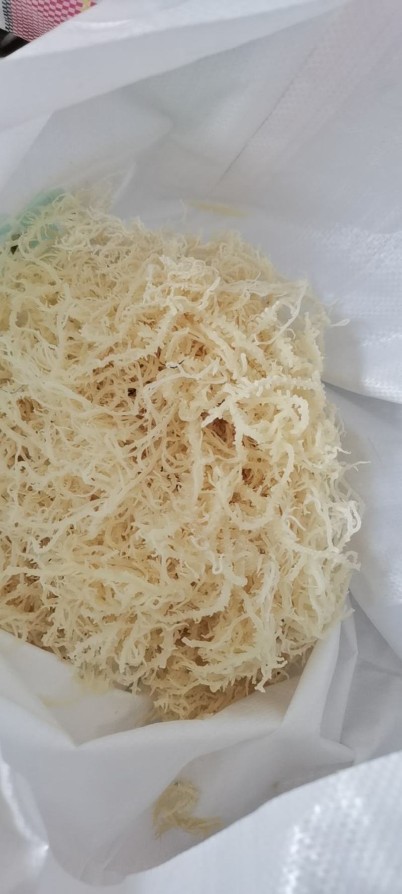 山东枣庄滕州高质量龙须菜干菜17斤潮菜55斤中条细条常备