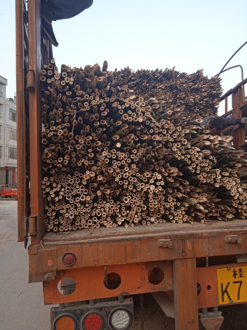 广西平南黎竹苦竹各种规格