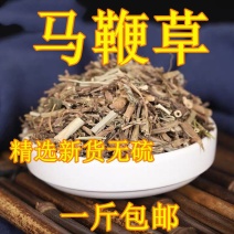 马鞭草狗牙草产地直发量大货好不满意可以退换货