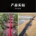 加厚浇地神器布管子带袖多袖布龙沟布水带浇地灌溉园