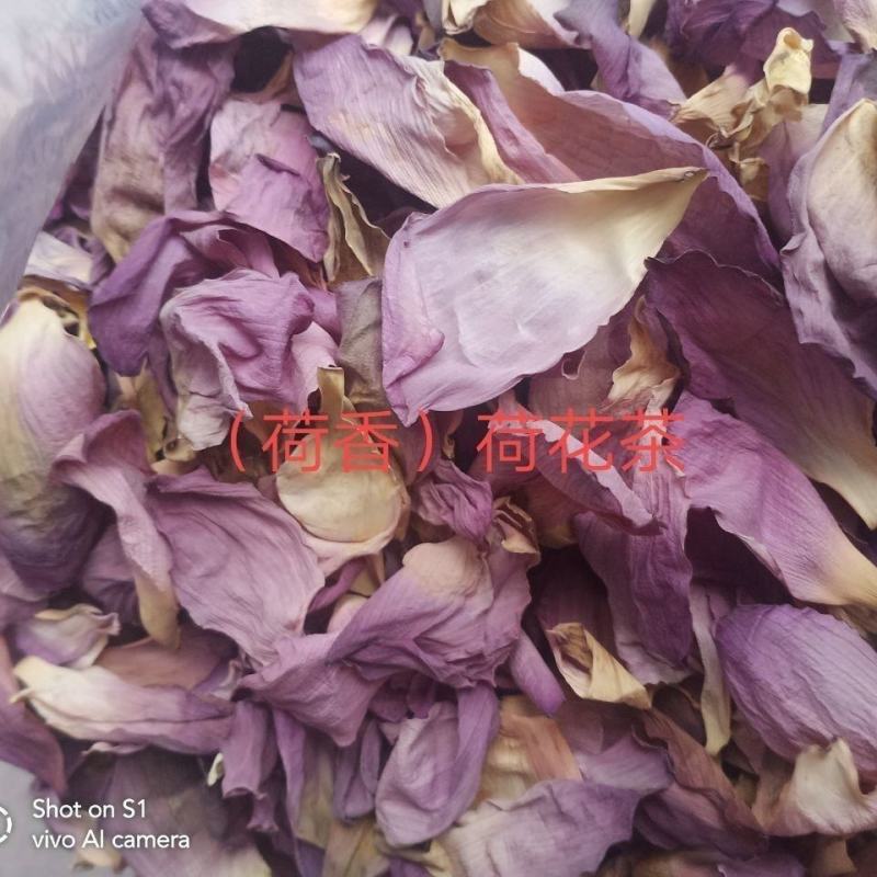 荷花茶干荷花茶叶荷花叶茶食用荷花叶片干花茶叶新货包邮