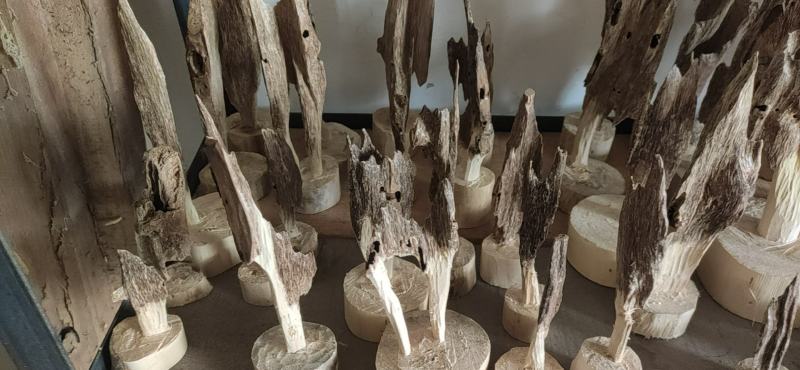 天然沉香虫漏小摆件手工作品