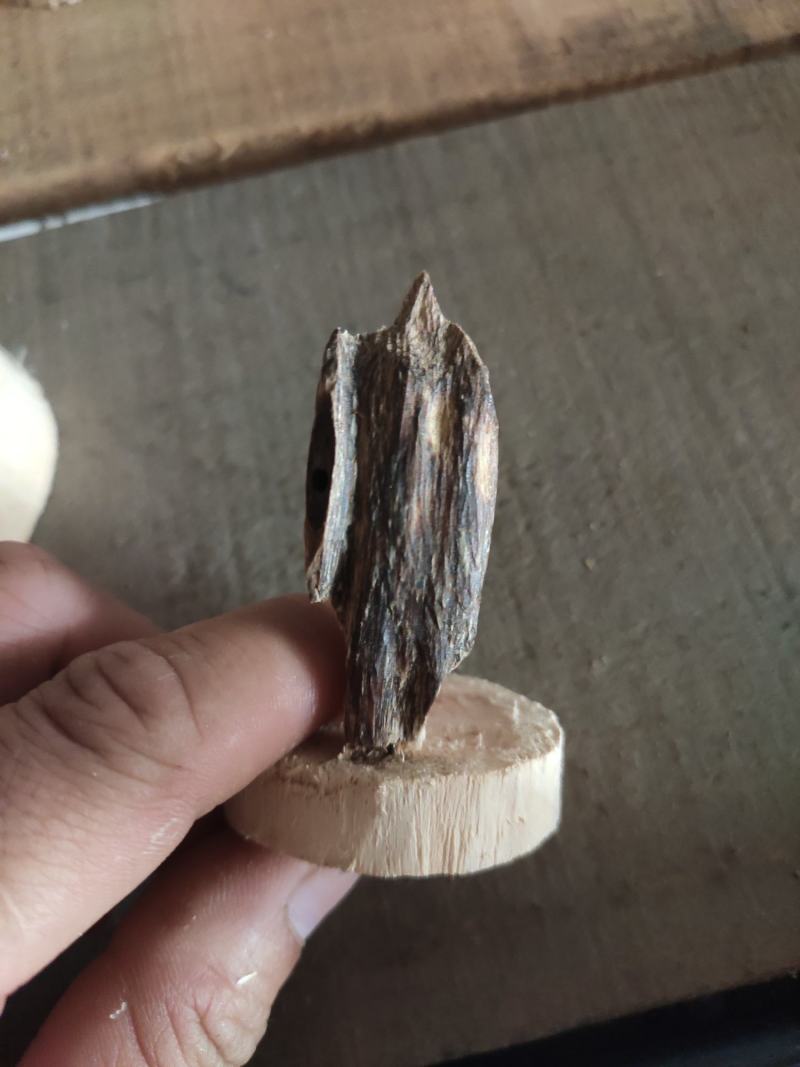 天然沉香虫漏小摆件手工作品