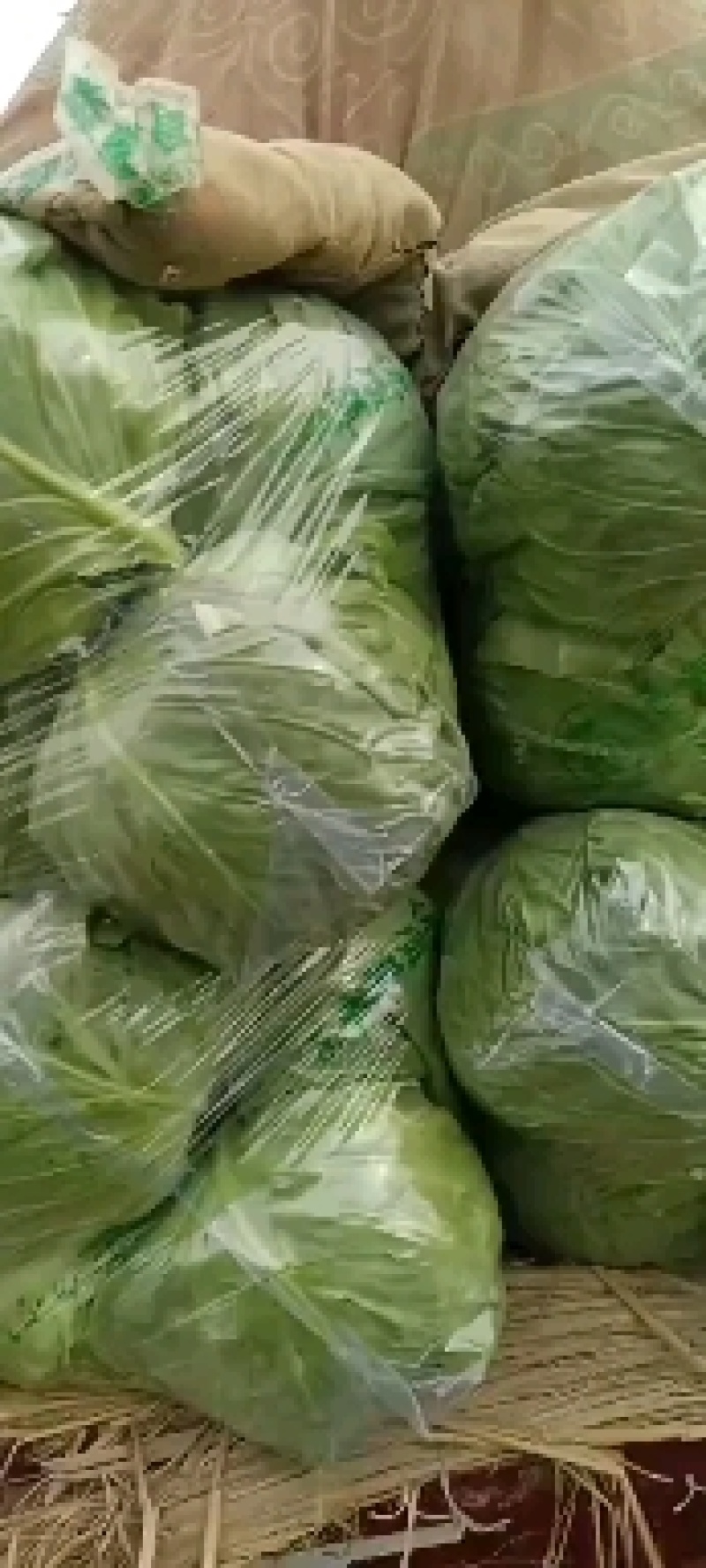 【精品甘蓝】热卖中颜色好个头韵散装打包冷库齐全