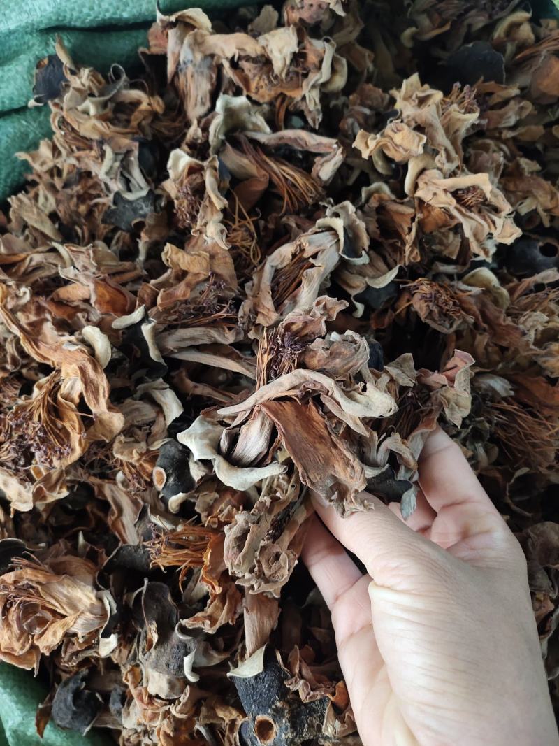 广西野生木棉花新货干花货源充足，全国发货