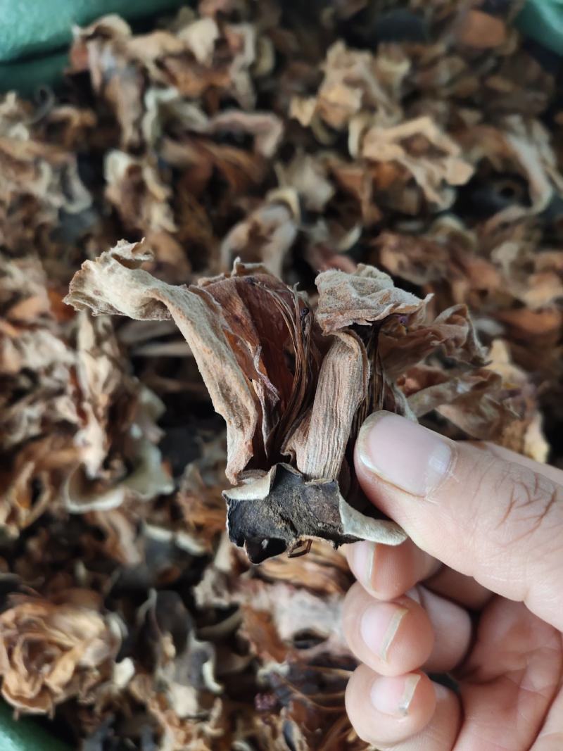 广西野生木棉花新货干花货源充足，全国发货