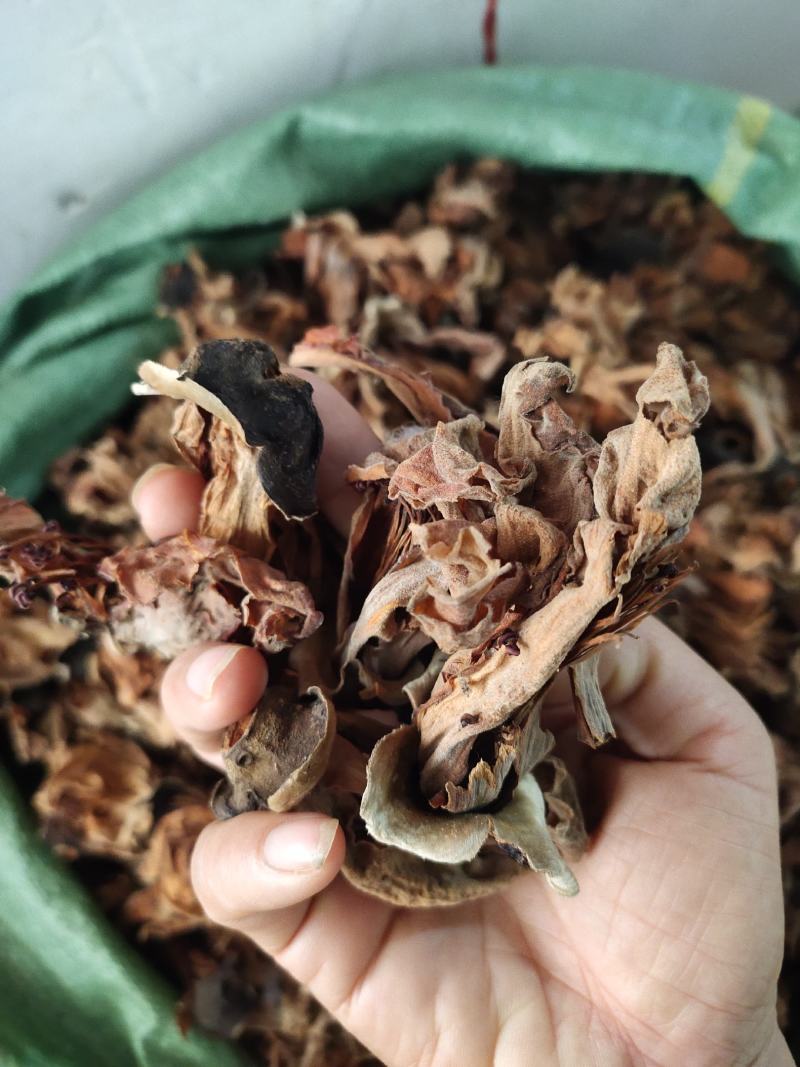 广西野生木棉花新货干花货源充足，全国发货