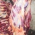 牛肉牛肉牛肉新鲜牛肉高原藏牦牛肉