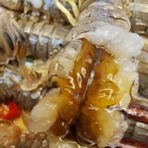 皮皮虾虾爬子腌制皮皮虾虾类醉虾一袋五百克开袋即