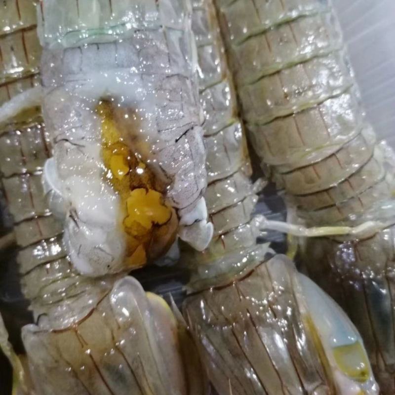 皮皮虾虾爬子腌制皮皮虾虾类醉虾一袋五百克开袋即