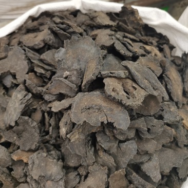 肉苁蓉新疆野生硬大芸沙漠双雄之一泡酒滋补佳品