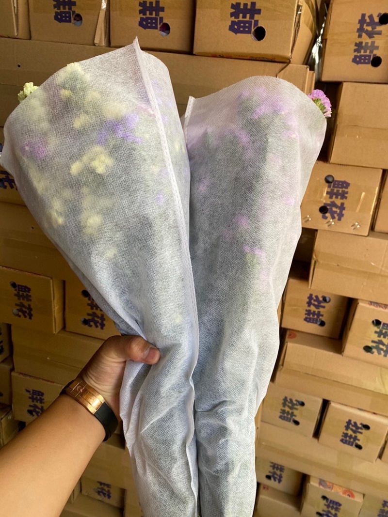 勿忘我干花批发云南鲜花按斤卖可一件代发社区团购平台对接