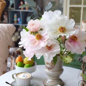一件代发包邮油画牡丹鲜切花一扎10支云南鲜花直发招代理