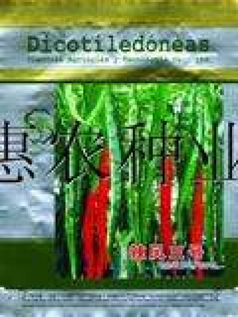 辣椒苗朝天椒线椒苗
