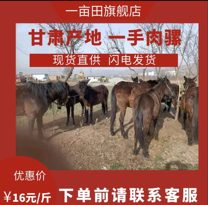 【肉骡】甘肃产地驼骡肉骡基地直发品种齐全全国发