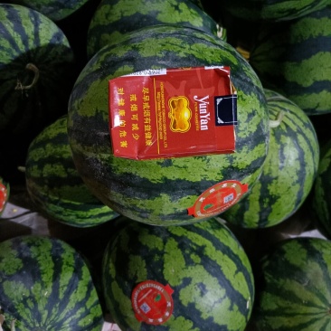 云南德宏甜王西瓜，特小凤西瓜批发，已上市
