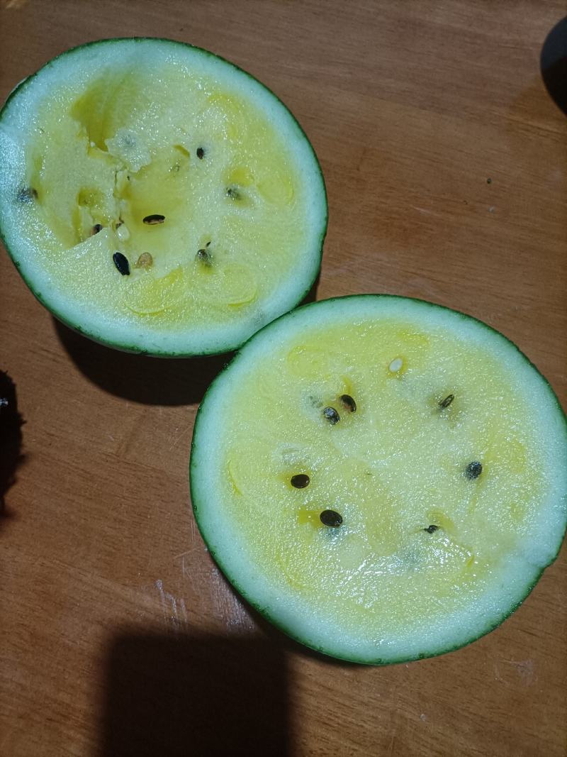 云南德宏甜王西瓜，特小凤西瓜批发，已上市