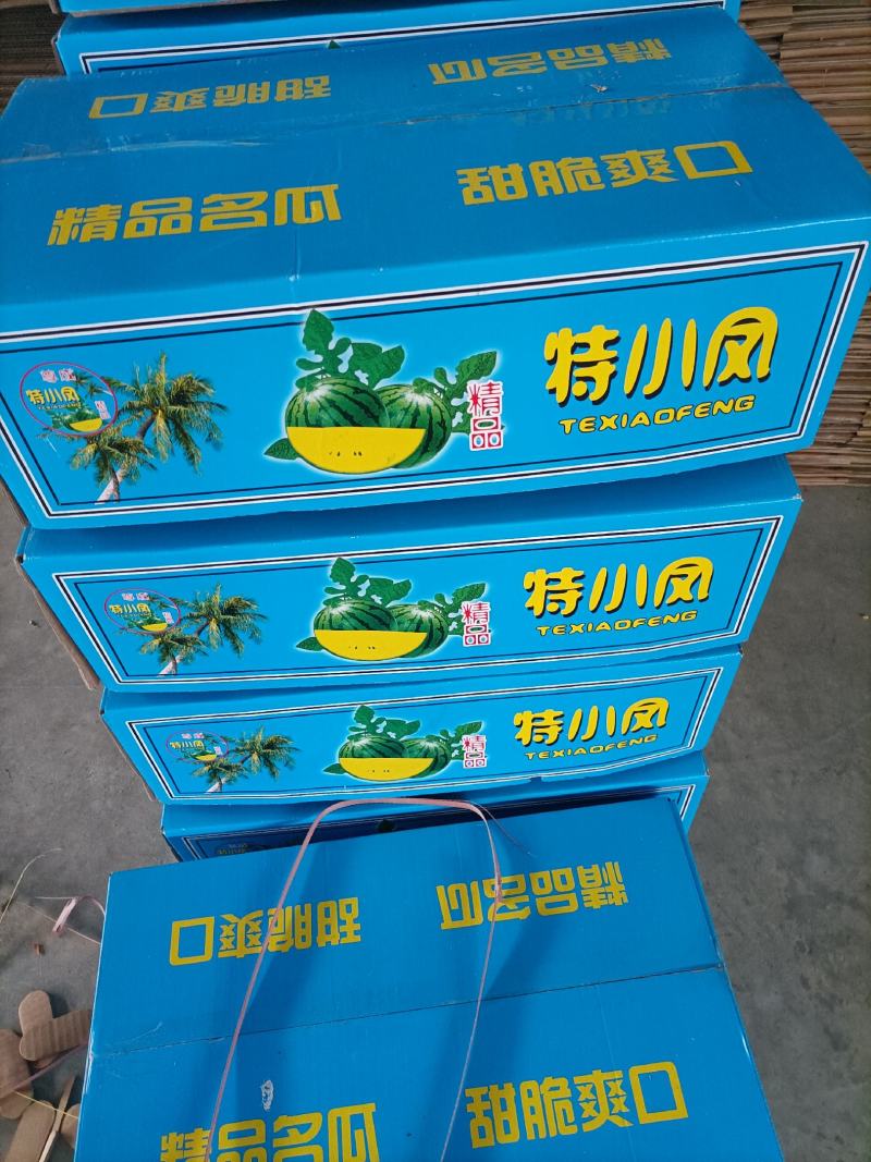 云南德宏甜王西瓜，特小凤西瓜批发，已上市