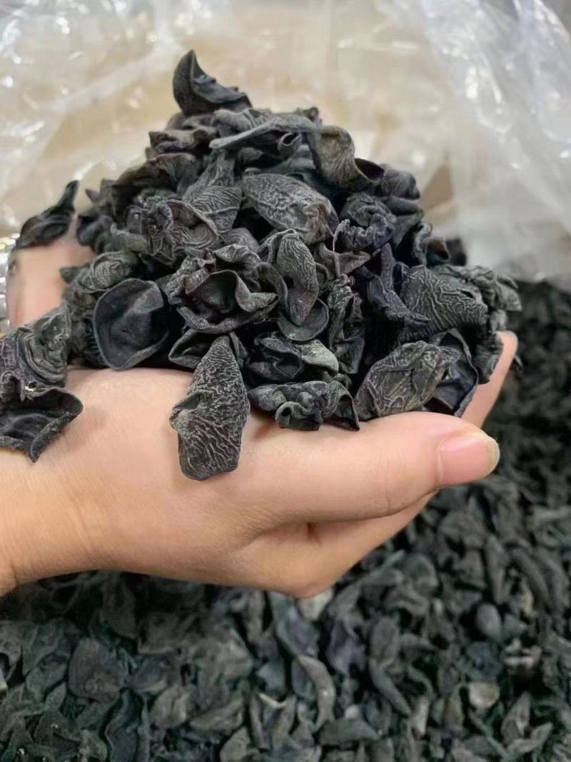 木耳青川小木耳东北毛木耳大量现货可上门验货价格美丽