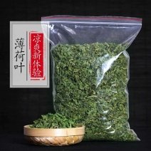 薄荷叶新鲜干薄荷茶叶散装食用泡茶泡水喝的东西新货清凉凉茶