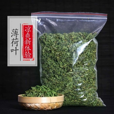 薄荷叶新鲜干薄荷茶叶散装食用泡茶泡水喝的东西新货清凉凉茶