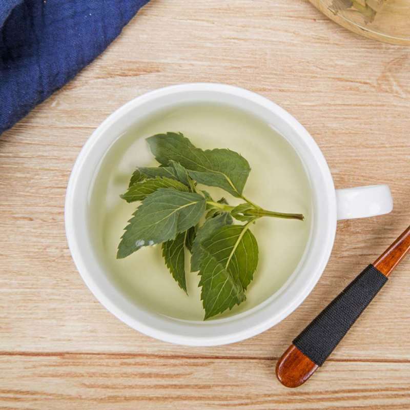 薄荷叶新鲜干薄荷茶叶散装食用泡茶泡水喝的东西新货清凉凉茶