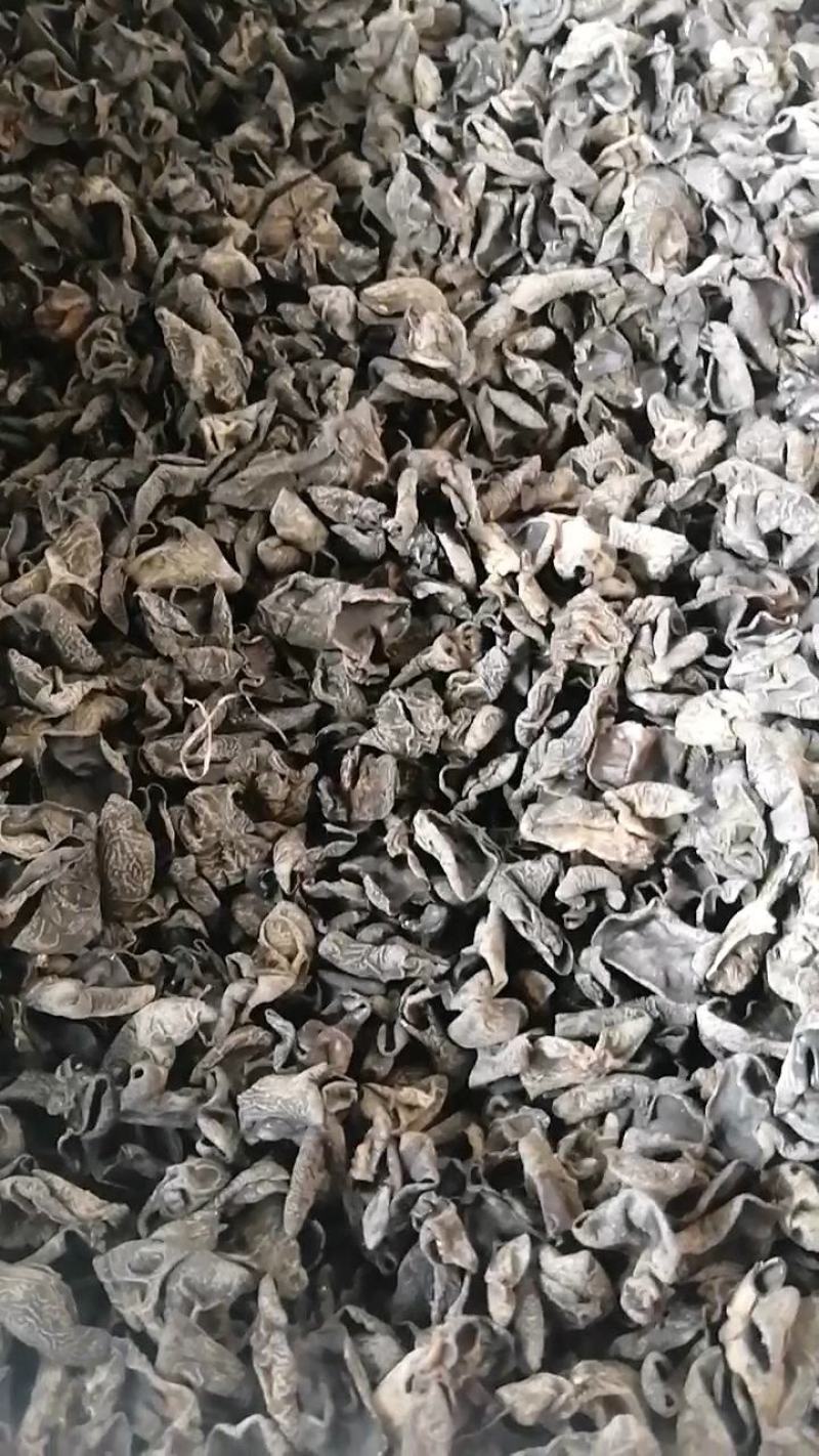 木耳青川小木耳东北毛木耳大量现货可上门验货价格美丽