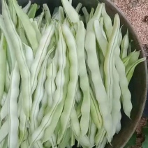 山东青岛平度崔家集芸豆